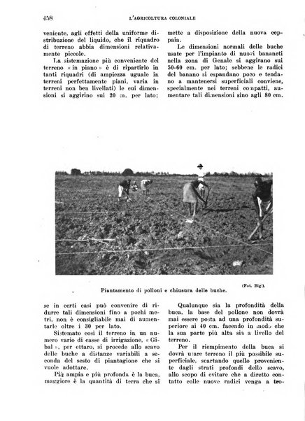 L'agricoltura coloniale organo dell'Istituto agricolo coloniale italiano e dell'Ufficio agrario sperimentale dell'Eritrea