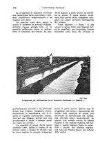 giornale/TO00199161/1938/unico/00000516