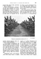 giornale/TO00199161/1938/unico/00000519