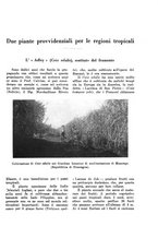 giornale/TO00199161/1938/unico/00000555