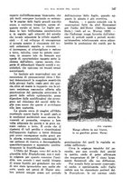 giornale/TO00199161/1938/unico/00000609