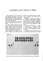 giornale/TO00199161/1939/unico/00000094