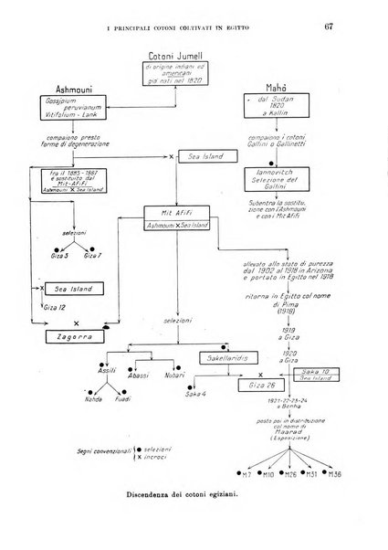 L'agricoltura coloniale organo dell'Istituto agricolo coloniale italiano e dell'Ufficio agrario sperimentale dell'Eritrea