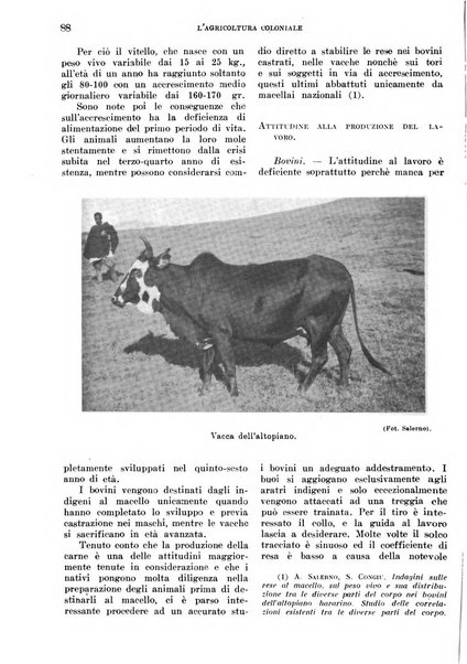 L'agricoltura coloniale organo dell'Istituto agricolo coloniale italiano e dell'Ufficio agrario sperimentale dell'Eritrea