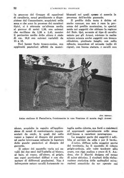 L'agricoltura coloniale organo dell'Istituto agricolo coloniale italiano e dell'Ufficio agrario sperimentale dell'Eritrea