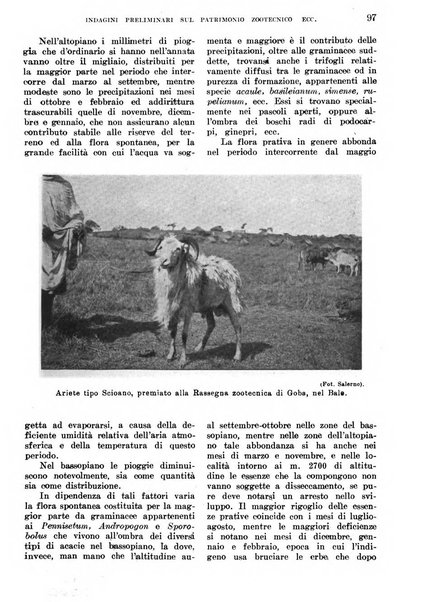 L'agricoltura coloniale organo dell'Istituto agricolo coloniale italiano e dell'Ufficio agrario sperimentale dell'Eritrea