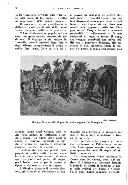 L'agricoltura coloniale organo dell'Istituto agricolo coloniale italiano e dell'Ufficio agrario sperimentale dell'Eritrea