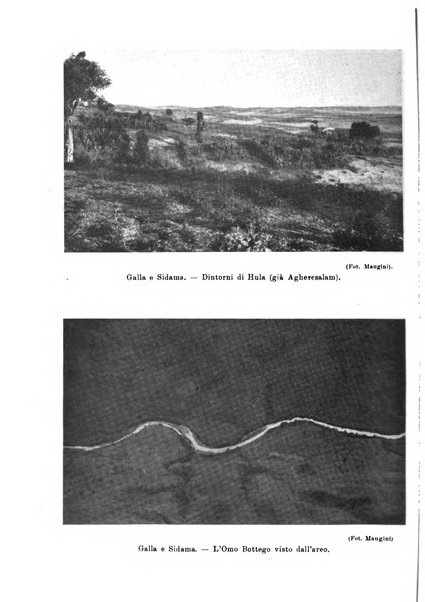 L'agricoltura coloniale organo dell'Istituto agricolo coloniale italiano e dell'Ufficio agrario sperimentale dell'Eritrea