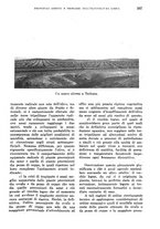 giornale/TO00199161/1939/unico/00000279