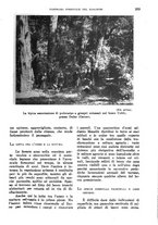giornale/TO00199161/1939/unico/00000323