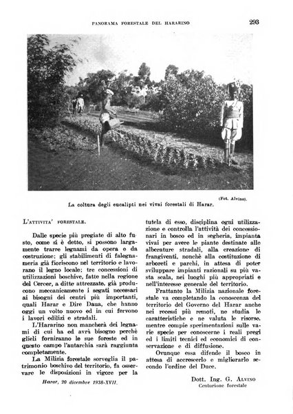 L'agricoltura coloniale organo dell'Istituto agricolo coloniale italiano e dell'Ufficio agrario sperimentale dell'Eritrea