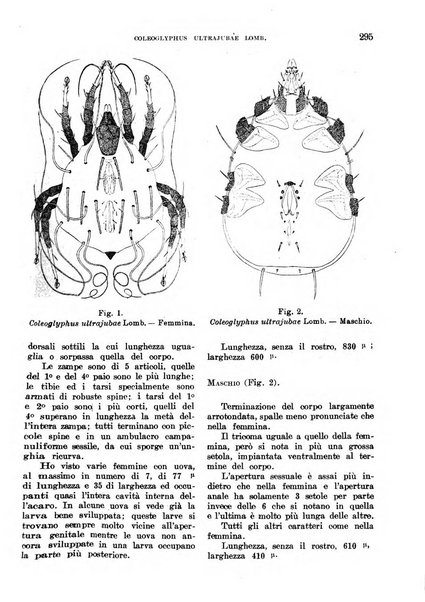 L'agricoltura coloniale organo dell'Istituto agricolo coloniale italiano e dell'Ufficio agrario sperimentale dell'Eritrea