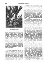 giornale/TO00199161/1939/unico/00000332