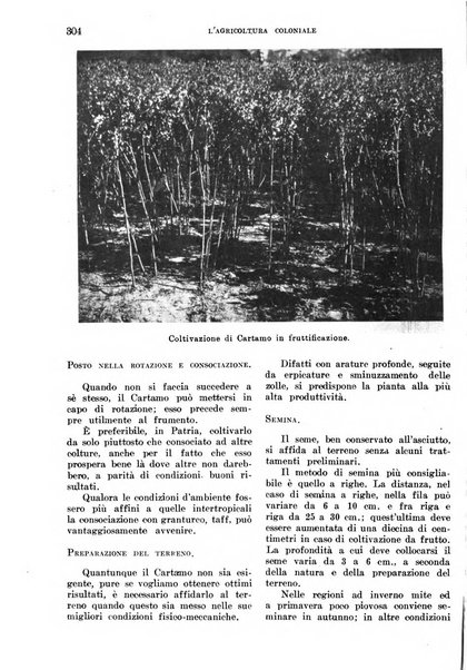 L'agricoltura coloniale organo dell'Istituto agricolo coloniale italiano e dell'Ufficio agrario sperimentale dell'Eritrea