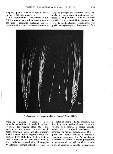 L'agricoltura coloniale organo dell'Istituto agricolo coloniale italiano e dell'Ufficio agrario sperimentale dell'Eritrea