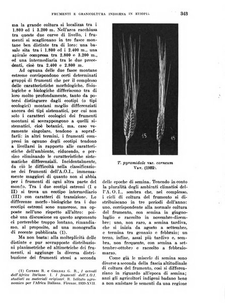 L'agricoltura coloniale organo dell'Istituto agricolo coloniale italiano e dell'Ufficio agrario sperimentale dell'Eritrea