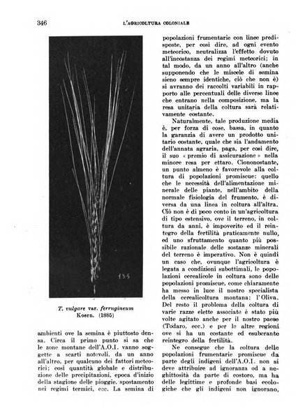 L'agricoltura coloniale organo dell'Istituto agricolo coloniale italiano e dell'Ufficio agrario sperimentale dell'Eritrea