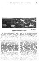 giornale/TO00199161/1939/unico/00000391