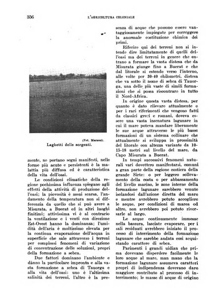 L'agricoltura coloniale organo dell'Istituto agricolo coloniale italiano e dell'Ufficio agrario sperimentale dell'Eritrea