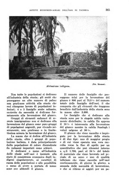 L'agricoltura coloniale organo dell'Istituto agricolo coloniale italiano e dell'Ufficio agrario sperimentale dell'Eritrea