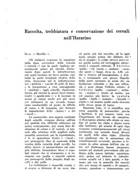 L'agricoltura coloniale organo dell'Istituto agricolo coloniale italiano e dell'Ufficio agrario sperimentale dell'Eritrea