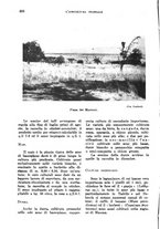 giornale/TO00199161/1939/unico/00000462