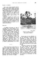 giornale/TO00199161/1939/unico/00000463