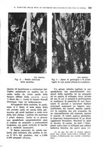 giornale/TO00199161/1939/unico/00000575