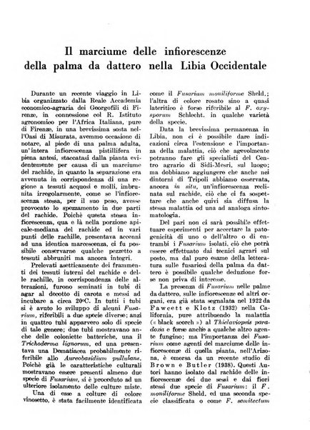 L'agricoltura coloniale organo dell'Istituto agricolo coloniale italiano e dell'Ufficio agrario sperimentale dell'Eritrea