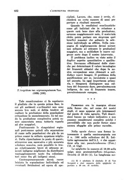 L'agricoltura coloniale organo dell'Istituto agricolo coloniale italiano e dell'Ufficio agrario sperimentale dell'Eritrea