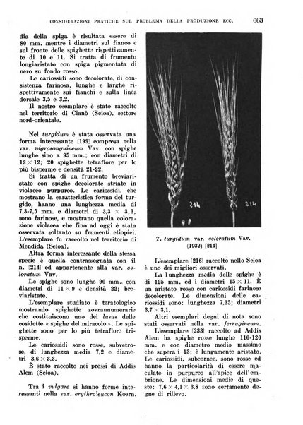 L'agricoltura coloniale organo dell'Istituto agricolo coloniale italiano e dell'Ufficio agrario sperimentale dell'Eritrea