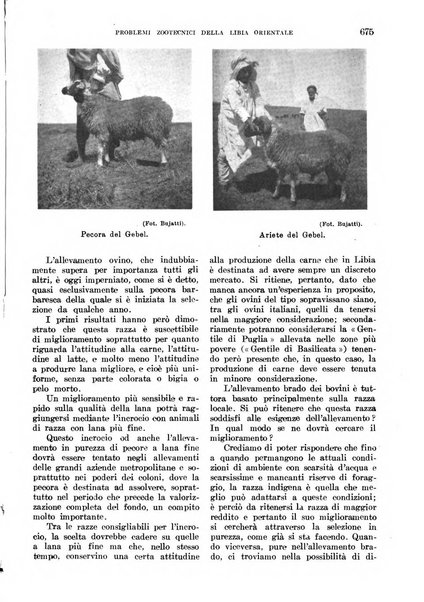 L'agricoltura coloniale organo dell'Istituto agricolo coloniale italiano e dell'Ufficio agrario sperimentale dell'Eritrea