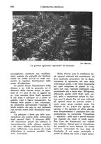 giornale/TO00199161/1939/unico/00000728