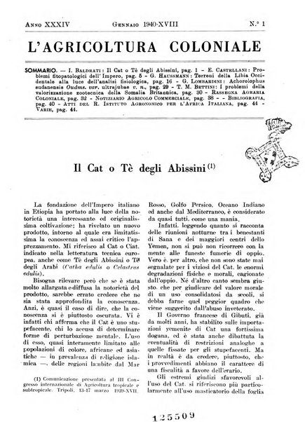 L'agricoltura coloniale organo dell'Istituto agricolo coloniale italiano e dell'Ufficio agrario sperimentale dell'Eritrea