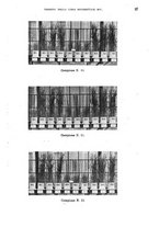 giornale/TO00199161/1940/unico/00000033