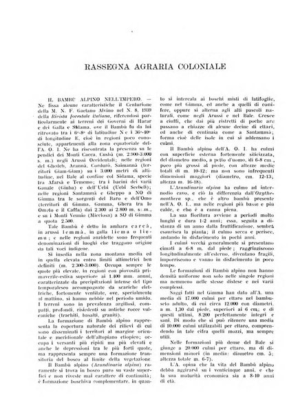 L'agricoltura coloniale organo dell'Istituto agricolo coloniale italiano e dell'Ufficio agrario sperimentale dell'Eritrea