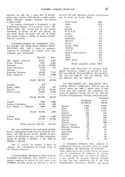 L'agricoltura coloniale organo dell'Istituto agricolo coloniale italiano e dell'Ufficio agrario sperimentale dell'Eritrea