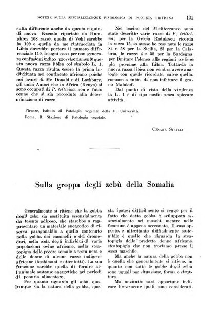 L'agricoltura coloniale organo dell'Istituto agricolo coloniale italiano e dell'Ufficio agrario sperimentale dell'Eritrea