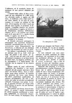 giornale/TO00199161/1940/unico/00000119