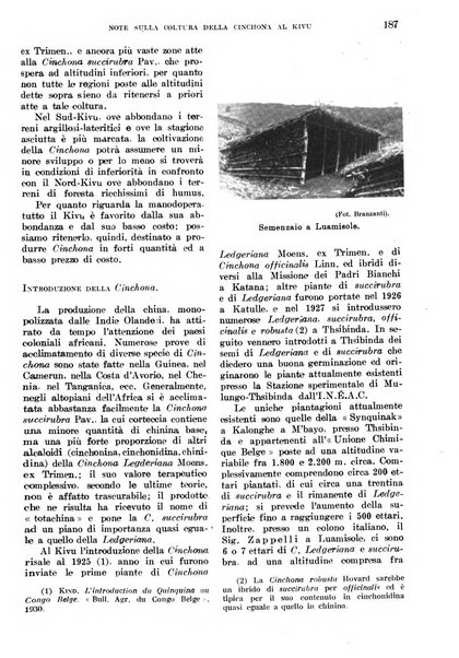 L'agricoltura coloniale organo dell'Istituto agricolo coloniale italiano e dell'Ufficio agrario sperimentale dell'Eritrea