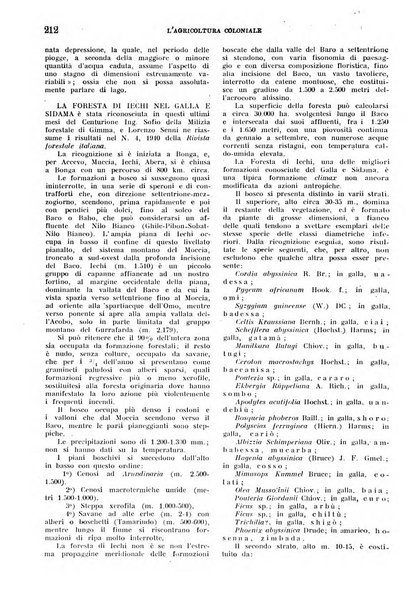 L'agricoltura coloniale organo dell'Istituto agricolo coloniale italiano e dell'Ufficio agrario sperimentale dell'Eritrea