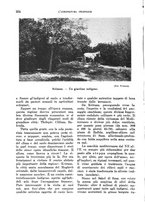 giornale/TO00199161/1940/unico/00000250