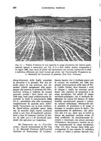 L'agricoltura coloniale organo dell'Istituto agricolo coloniale italiano e dell'Ufficio agrario sperimentale dell'Eritrea