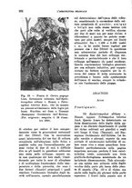 giornale/TO00199161/1940/unico/00000310