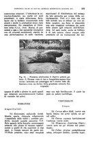 giornale/TO00199161/1940/unico/00000311