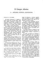 giornale/TO00199161/1940/unico/00000332