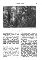 giornale/TO00199161/1940/unico/00000335