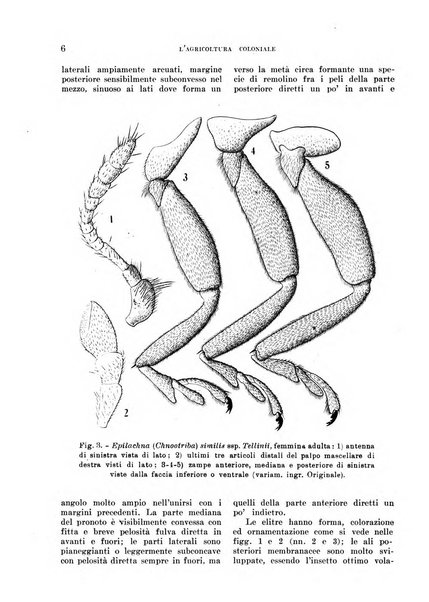 L'agricoltura coloniale organo dell'Istituto agricolo coloniale italiano e dell'Ufficio agrario sperimentale dell'Eritrea