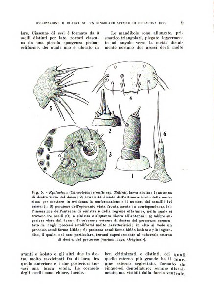 L'agricoltura coloniale organo dell'Istituto agricolo coloniale italiano e dell'Ufficio agrario sperimentale dell'Eritrea