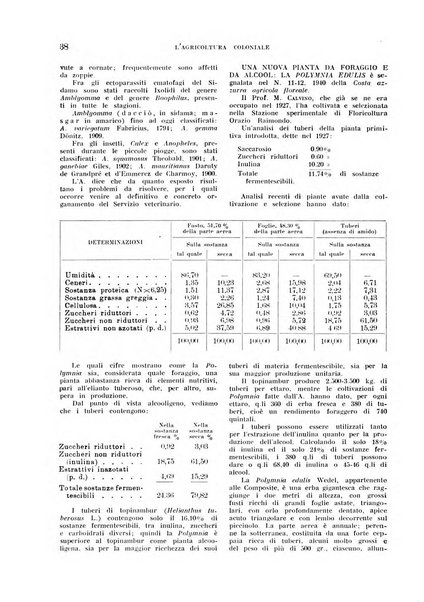 L'agricoltura coloniale organo dell'Istituto agricolo coloniale italiano e dell'Ufficio agrario sperimentale dell'Eritrea